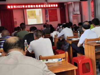 海安市召开水稻绿色高质高效创建暨抗灾减灾技术培训会